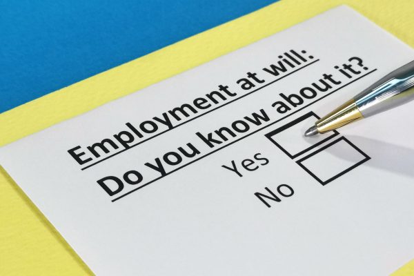 What is Employment at Will